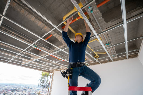Best Residential Plumbing Services  in Wellsville, MO