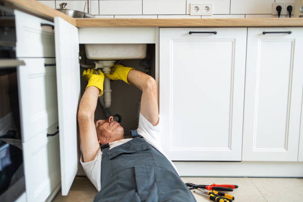 Best Clogged Drain Plumber  in Wellsville, MO